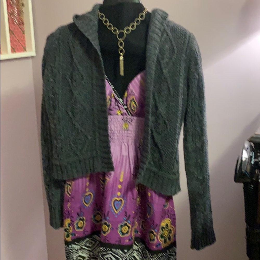 Early CABi hooded sweater